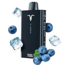 Vaper Ignite V150 15000 Puff Blueberry Ice