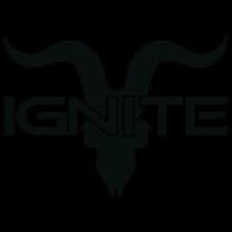 Vaper Descartavel Ignite V120