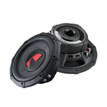 Alto Falante Nakamichi NW-S100D - Sub 10" B Dupla