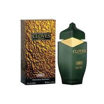 Iscents Perfume Cloves Homme Masculino 100ML s/C