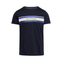 Camiseta Tommy Hilfiger MW0MW29670 DW5