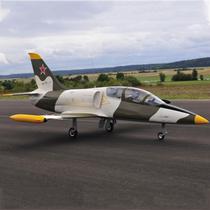 Jet Legend L-39 Gray Camo Scheme Arf