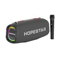 Speaker Hopestar A6 Max HS-1511 80W Negro c/Mic Aux/US