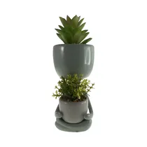 Planta En Maceta Concepts 567-49252 21 CM