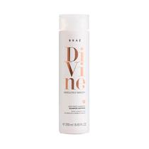 Acondicionador Brae Divine Anti-Frizz 250ML