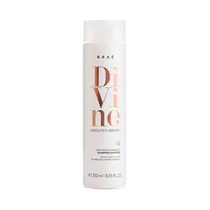 Acondicionador Braé Divine Anti-Frizz 250ML