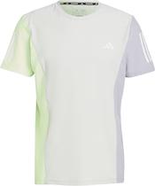 Camiseta Adidas IQ3817 - Masculina