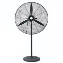 Ventilador Pie 110V AL-650-1