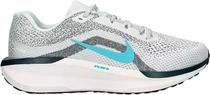 Tenis Nike Vapor Air Winflo 11 FJ9509 004 - Masculino