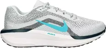 Tênis Nike Vapor Air Winflo 11 FJ9509 004 - Masculino
