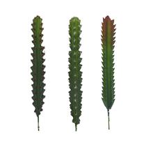 Cactus Artificial KPM 329001 31 CM Surtido