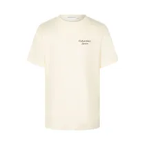 Camiseta Infantil Calvin Klein IB0IB01319 Yab