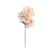 Rama Decorativa KPM 056028