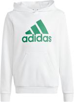 Moletom com Capuz Adidas IC6836- Feminino