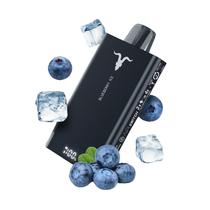 Ignite V150 Blueberry Ice