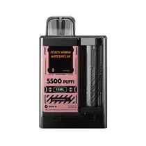Vapengine 5500 Puffs Peach Mango Water