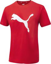 Camiseta Puma 518382A 11 - Masculina