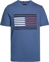 Camiseta Tommy Hilfiger MW0MW35460 DBZ - Masculina