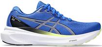 Tenis Asics Gel-Kayano 30 1011B548-400 - Masculino