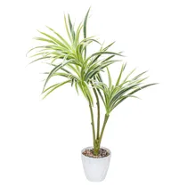Planta Artificial Dracena Bicolor Em Vaso Branco