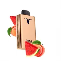 Ignite V120 Pro Rose 12000 Puffs Watermelon Peach