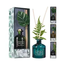 Difusor de Aroma KPM 032488 160ML Surtido