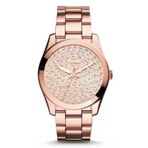 Relógio Feminino Fossil ES3690 Bronze