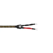 Wireworld Caixa GES2.5M Gold Eclipse 2.5M Par BB