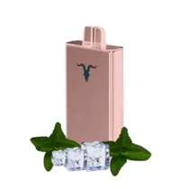 Ignite V80 Rose Icy Mint