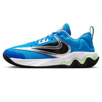 Basquetbol Nike Giannis Immortality Masculino DZ7533-400