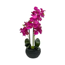 Planta Artificial En Maceta Concepts 456-472004 57 CM