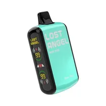 Lost Angel Pro Max 20K Miami Mint