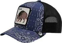 Boné Goorin Bros 101-1574 Mo Money Baller Blue