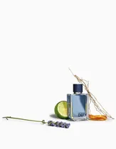 Perf CK Defy Masc Edt 100ML