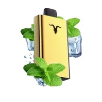 Ignite V120 Pro Gold 12000 Puffs Icy Mint