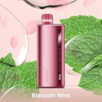 Pod Descartavel Elfbar Funky Ti 7000 - Blossom Mint