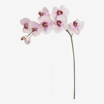 Oriente Adorno Orquidea Phalaenopsis Artificial 70CM Colores Varios