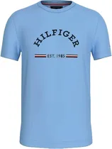 Camiseta Tommy Hilfiger MW0MW35466 C1Z - Masculina