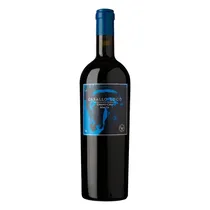 Valdivieso Vino Caballo Loco Apalta 750M