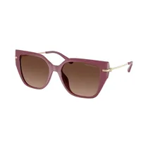 Lente Michael Kors 2231U 32256T5 54