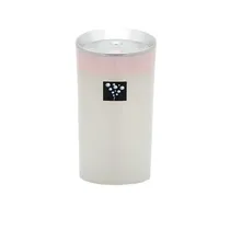 Anion Moisturizing Instrument - Humidificador