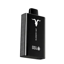 Vaper Descartável Ignite V120 Blueberry Mint