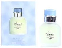 Perfume Smart Collection N-308 Edp 25ML - Masculino