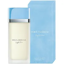 Perfume Dolce Gabbana Light Blue Edt Masculino - 100ML