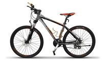 Pro-Mountain Bike"26" Alumi PM650 Gray