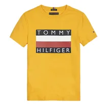 Camiseta Tommy Hilfiger Infantil Masculino M/C KB0KB05547-ZBC-00-08 Golden Glow