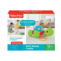 Juguete Tortuga de Aprendizaje Fisher Price Y8652