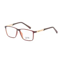 Armação para Óculos de Grau Visard AD519 C4 Tam. 48-20-140MM - Marrom/Dourado