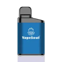 Vapesoul 4800 Puffs Blueberry