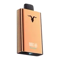 Ignite V120 Rose Gold Blueberry Mint